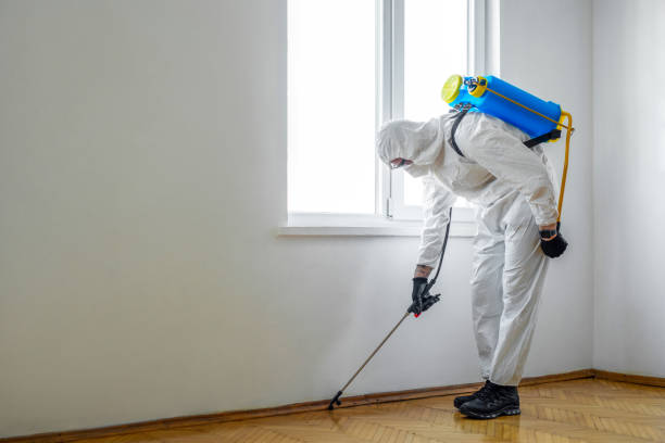 Best Pest Exclusion Services  in Clifton, NJ